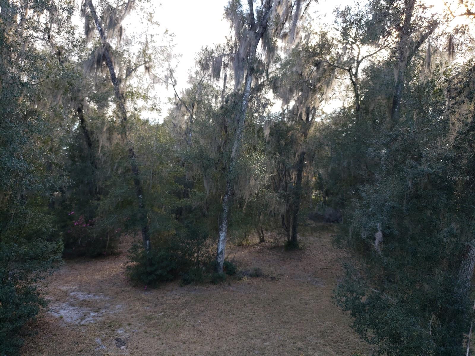 Image 36 of 41 For 851 Minnesota Avenue