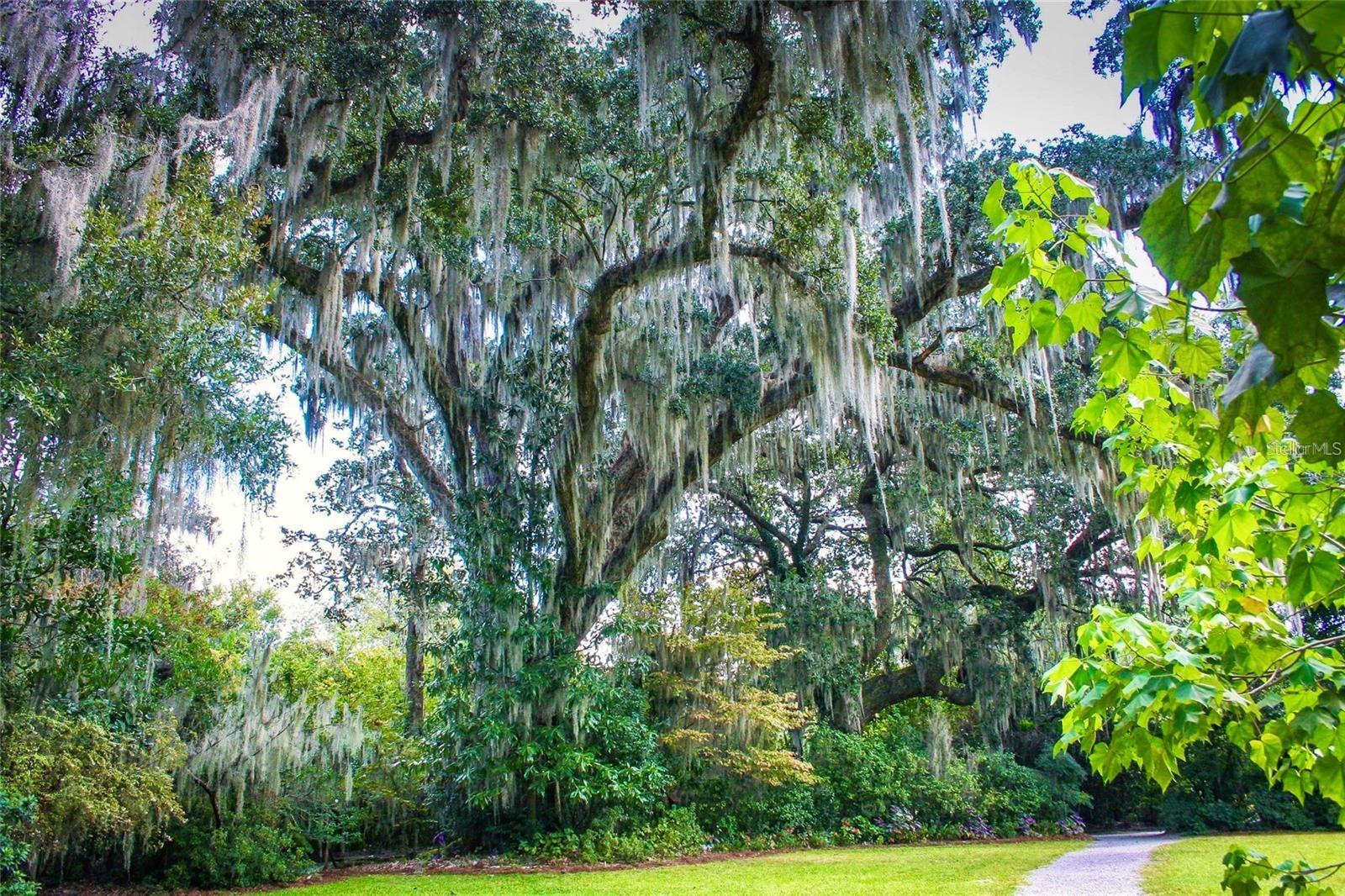 Image 15 of 18 For 537 Pollard  