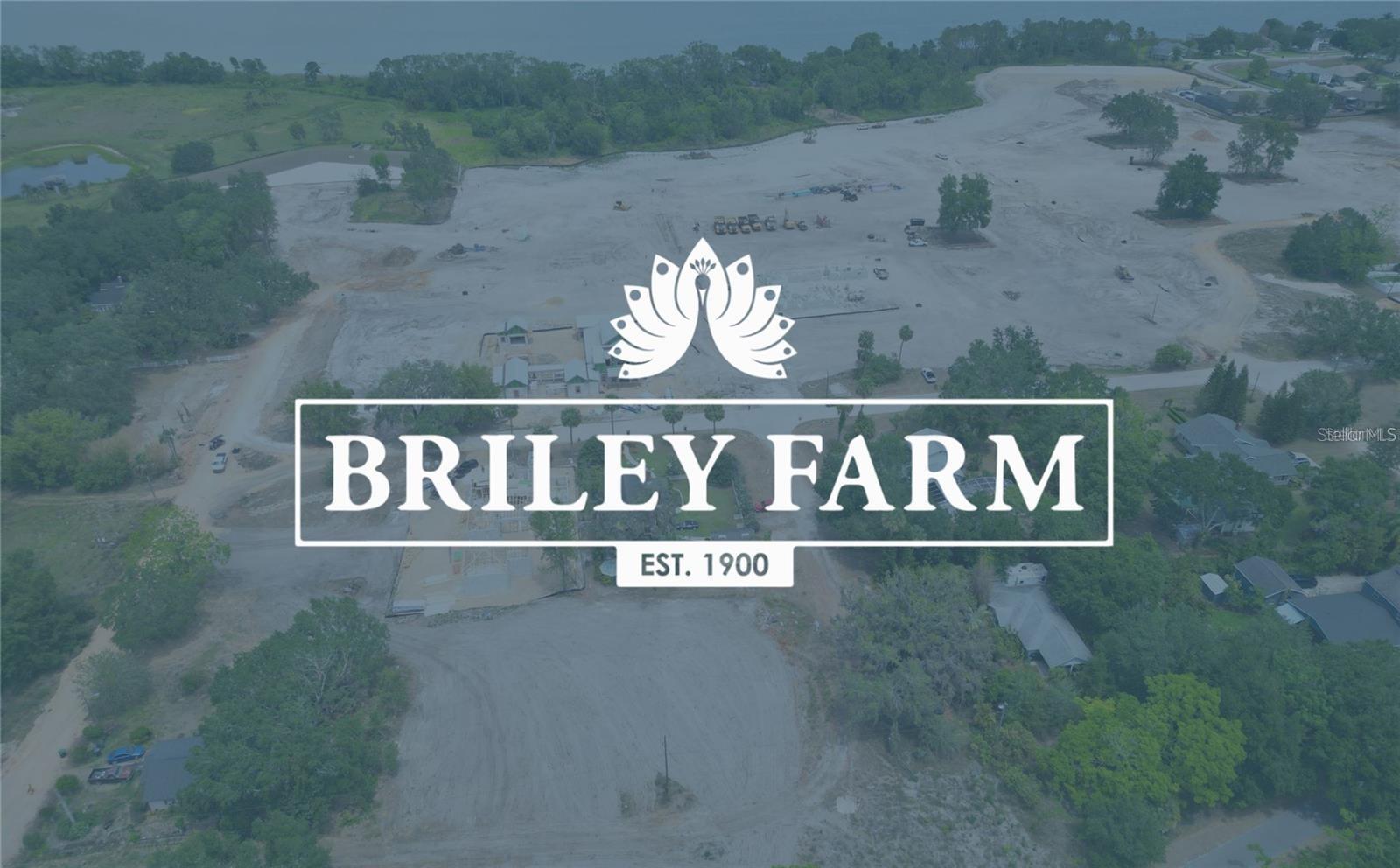 Image 18 of 18 For 537 Pollard  