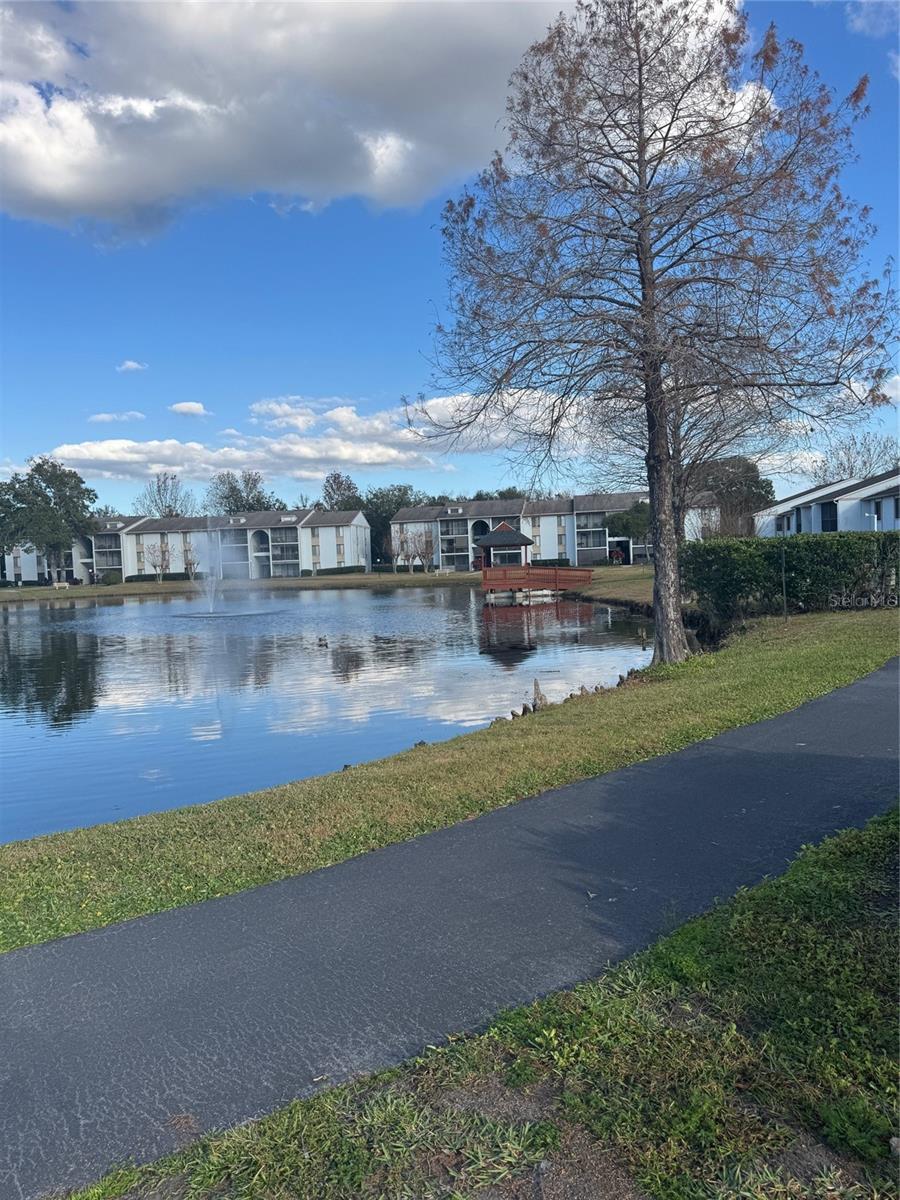 Image 43 of 46 For 8213 Sun Spring Circle 61