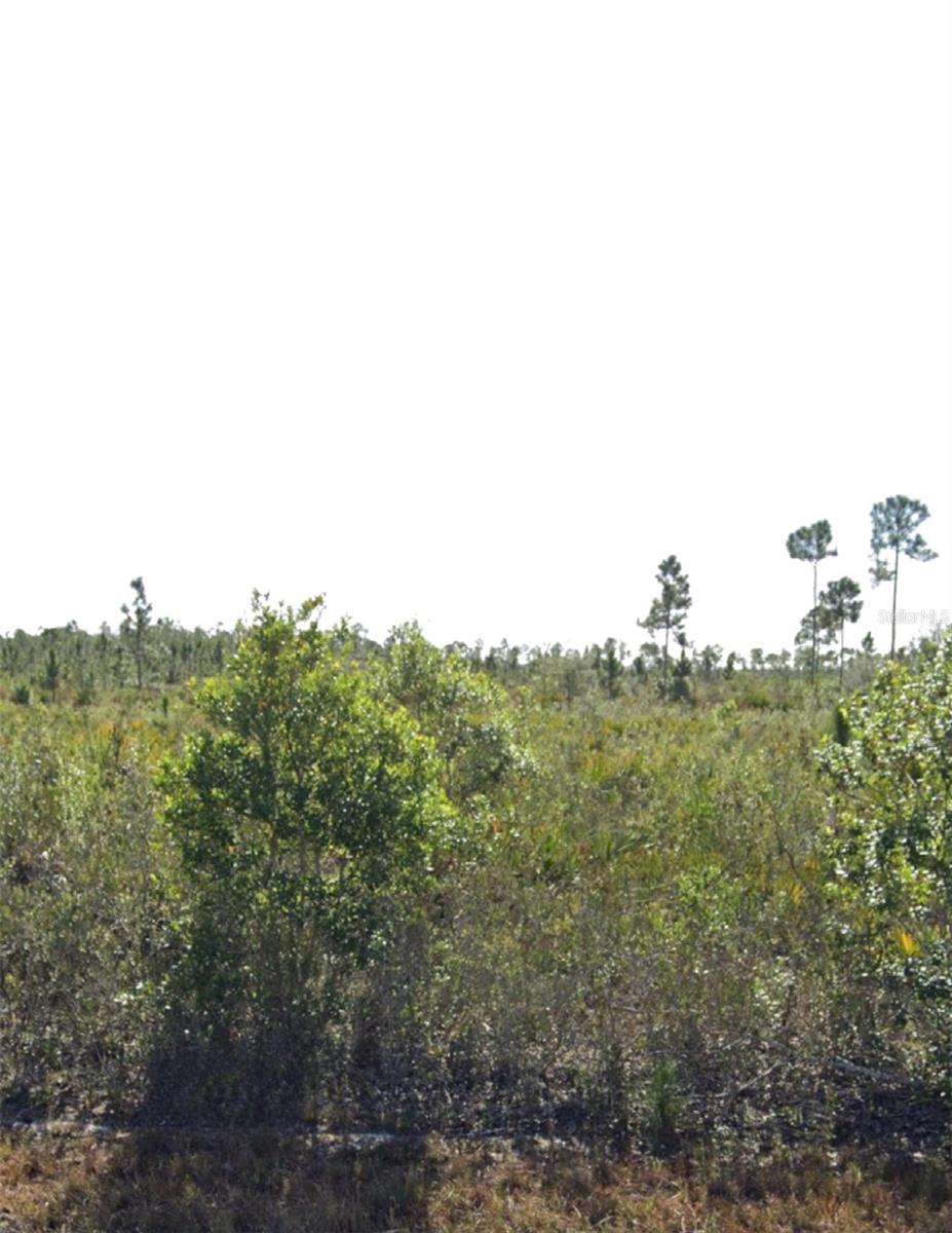 Listing Details for 903 Calliandra Drive, INDIAN LAKE ESTATES, FL 33855