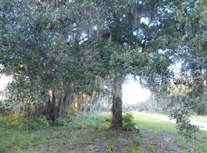 Details for 566 Sioux Boulevard, OAK HILL, FL 32759