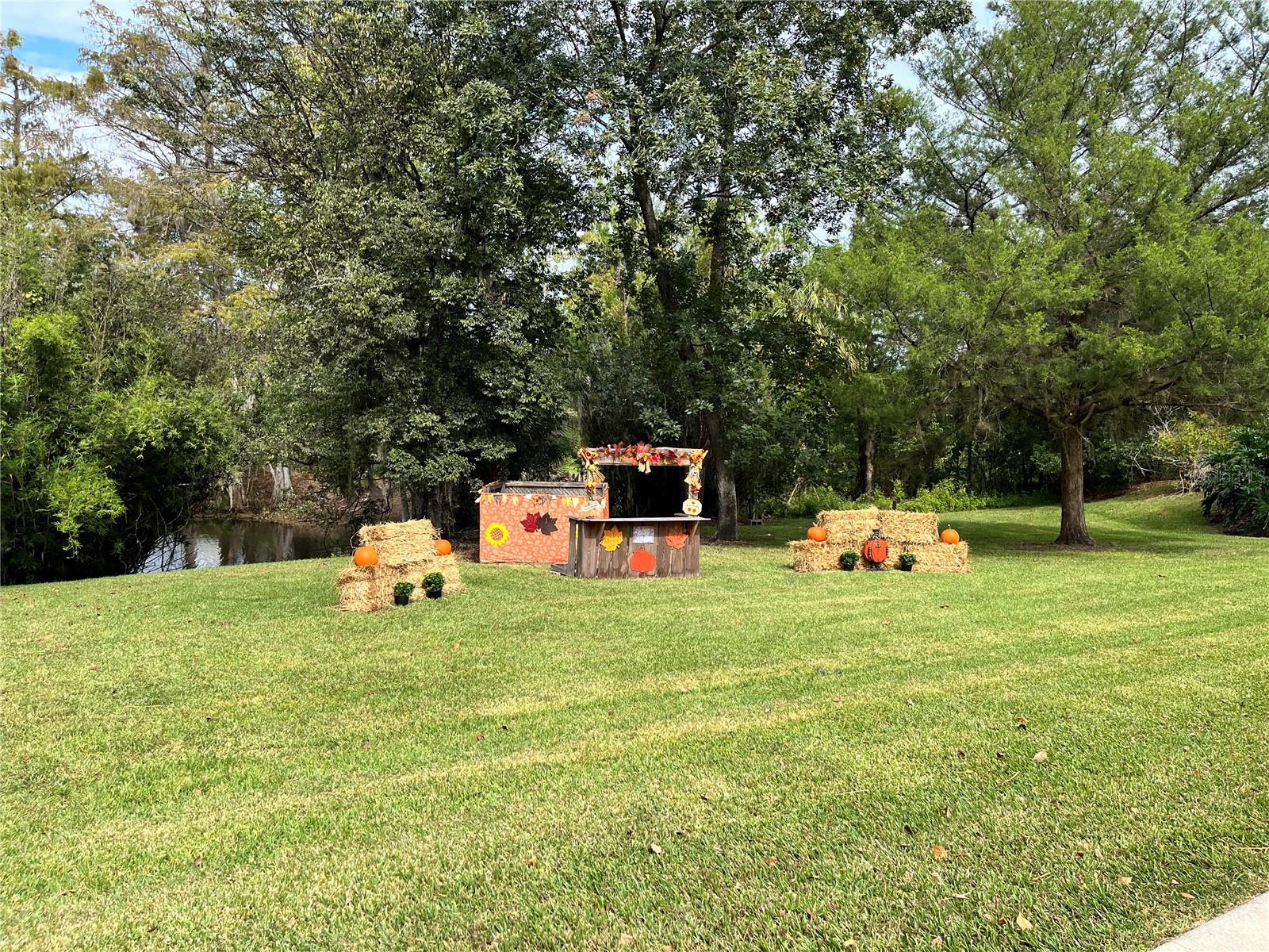 Image 65 of 91 For 3100 104th Terrace