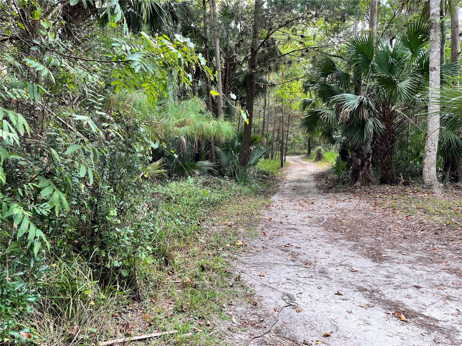 Image 71 of 91 For 3100 104th Terrace