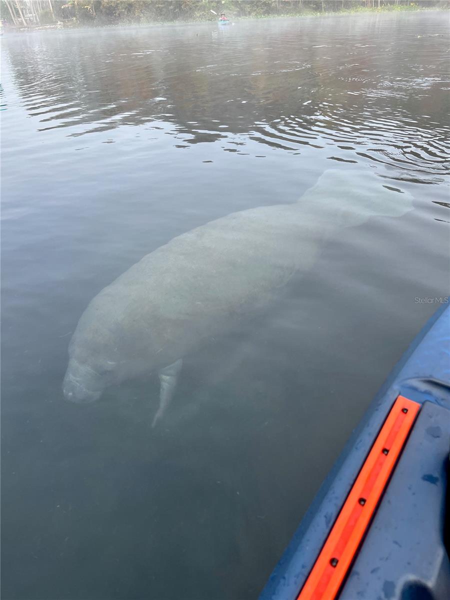 Image 77 of 91 For 3100 104th Terrace