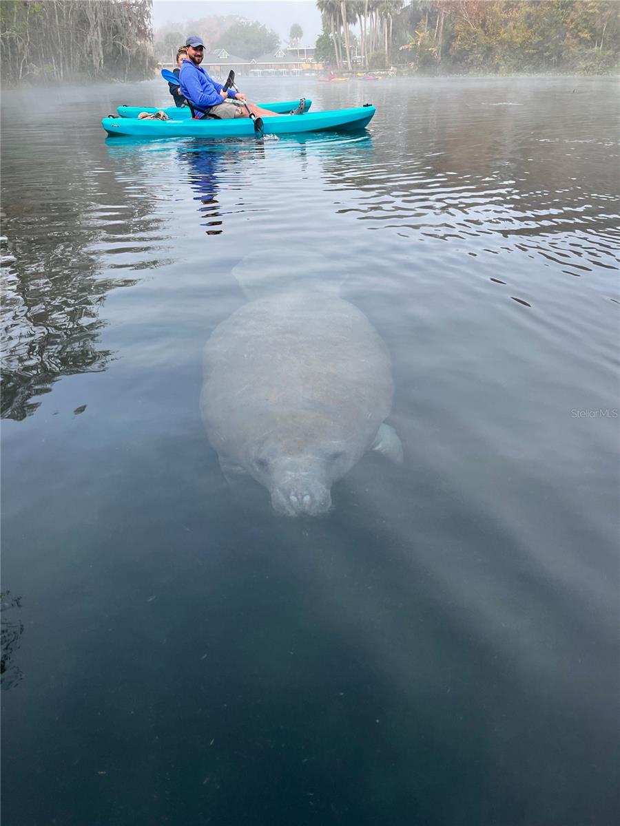 Image 79 of 91 For 3100 104th Terrace