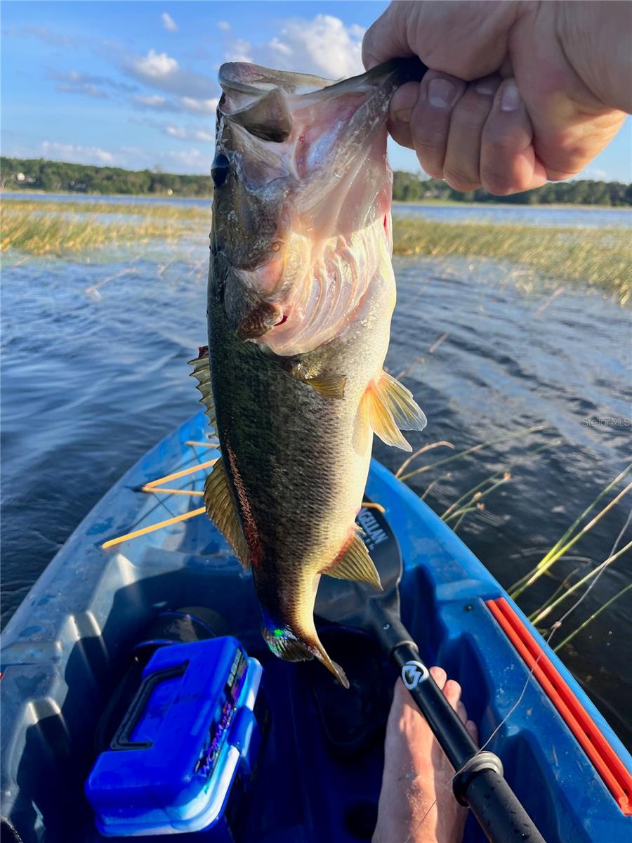 Image 80 of 91 For 3100 104th Terrace