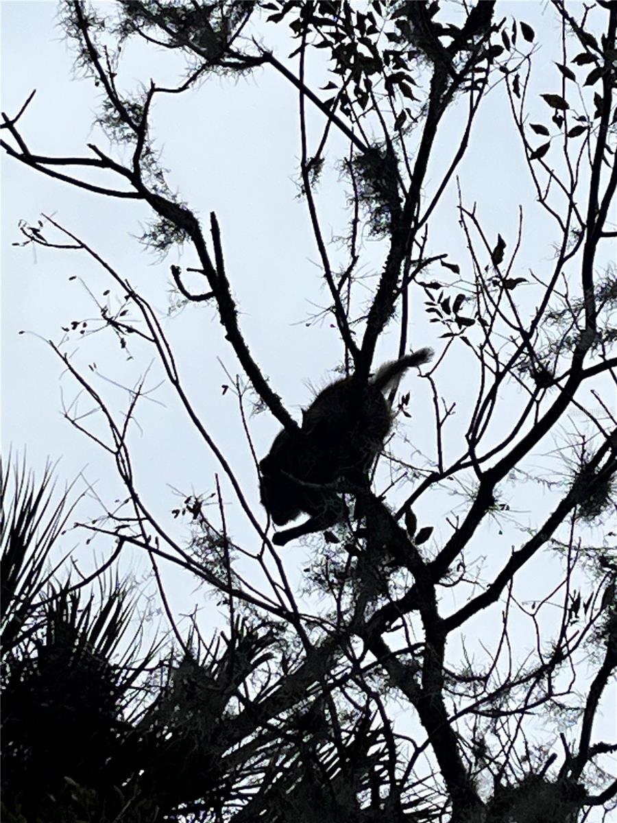 Image 87 of 91 For 3100 104th Terrace