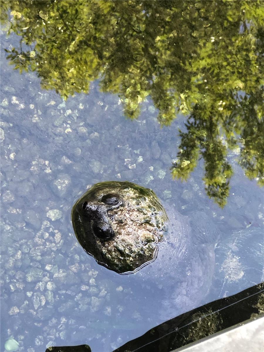 Image 88 of 91 For 3100 104th Terrace