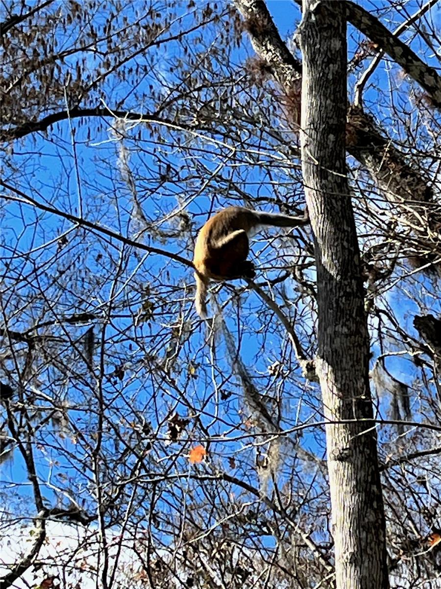 Image 89 of 91 For 3100 104th Terrace