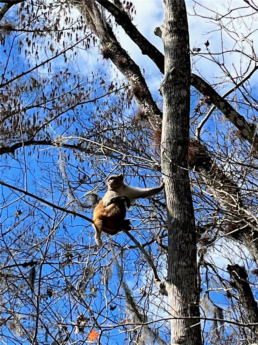 Image 90 of 91 For 3100 104th Terrace