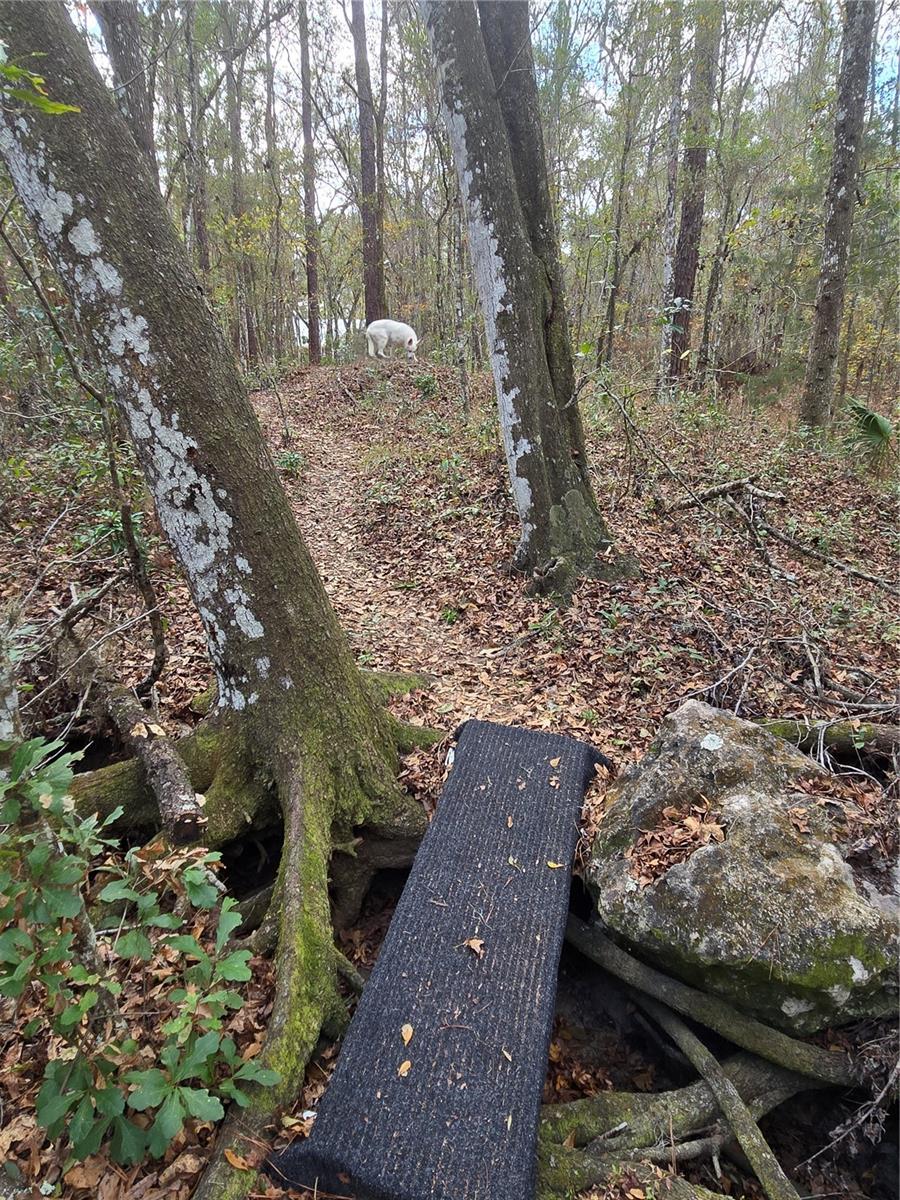 Image 33 of 35 For 25344 Croom Road