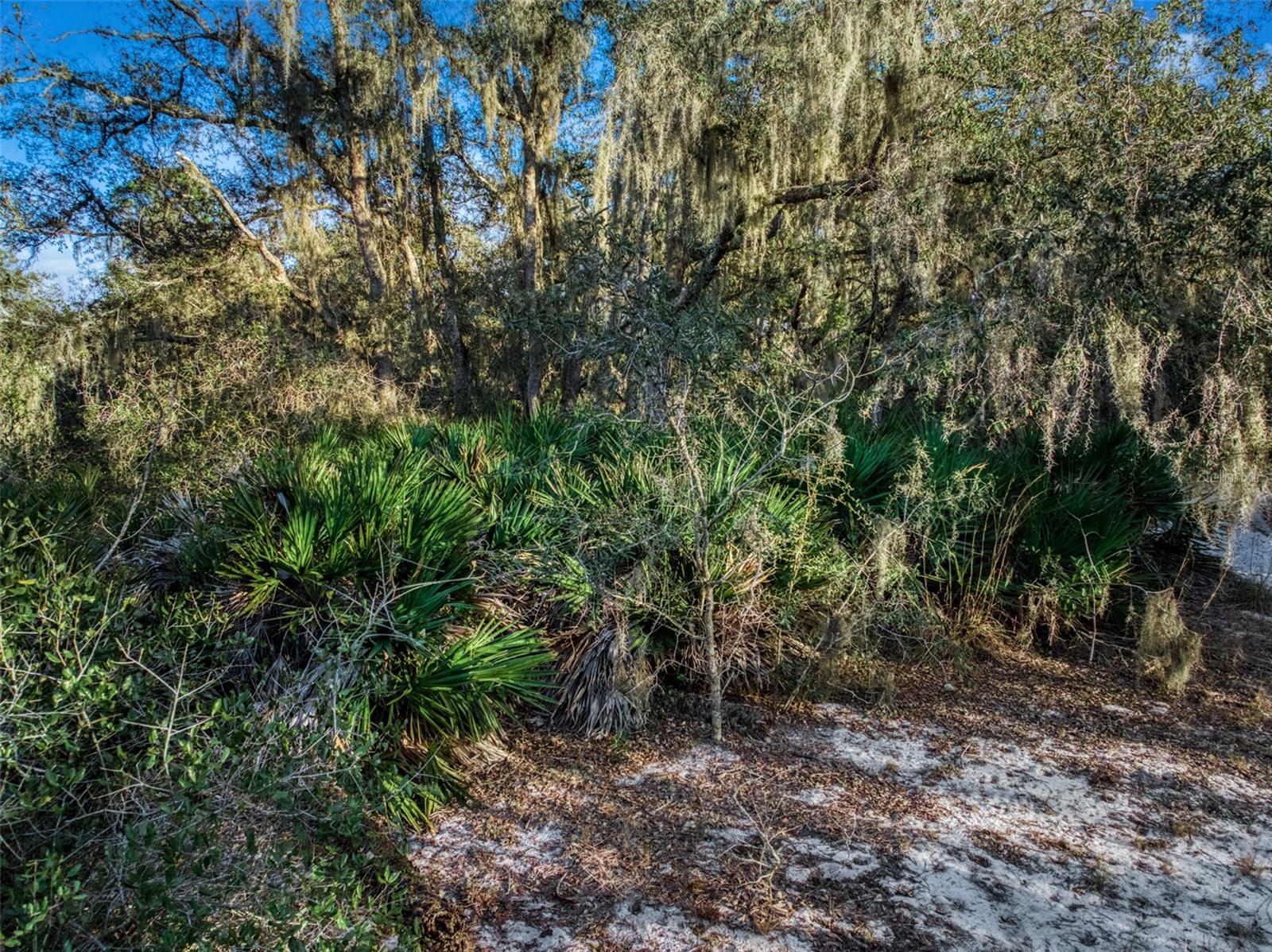 Image 7 of 16 For 5617 Longbow Drive