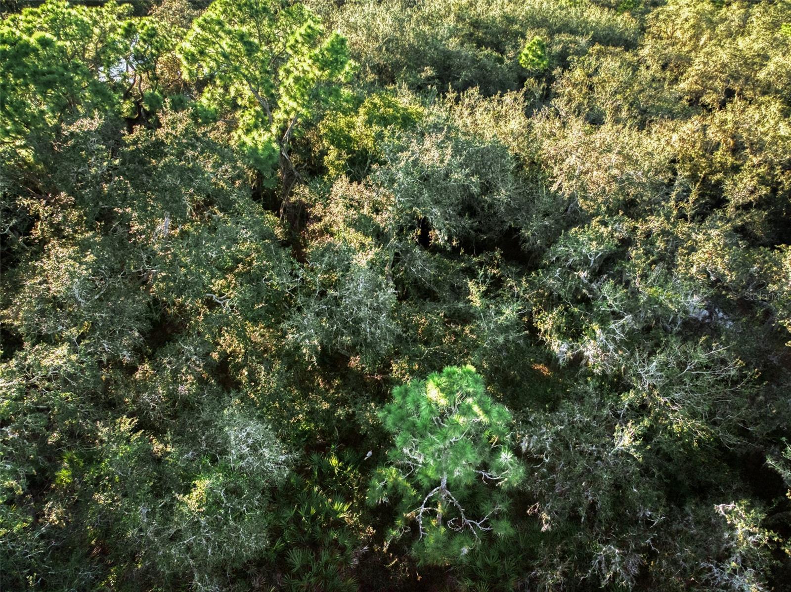 Image 9 of 16 For 5617 Longbow Drive