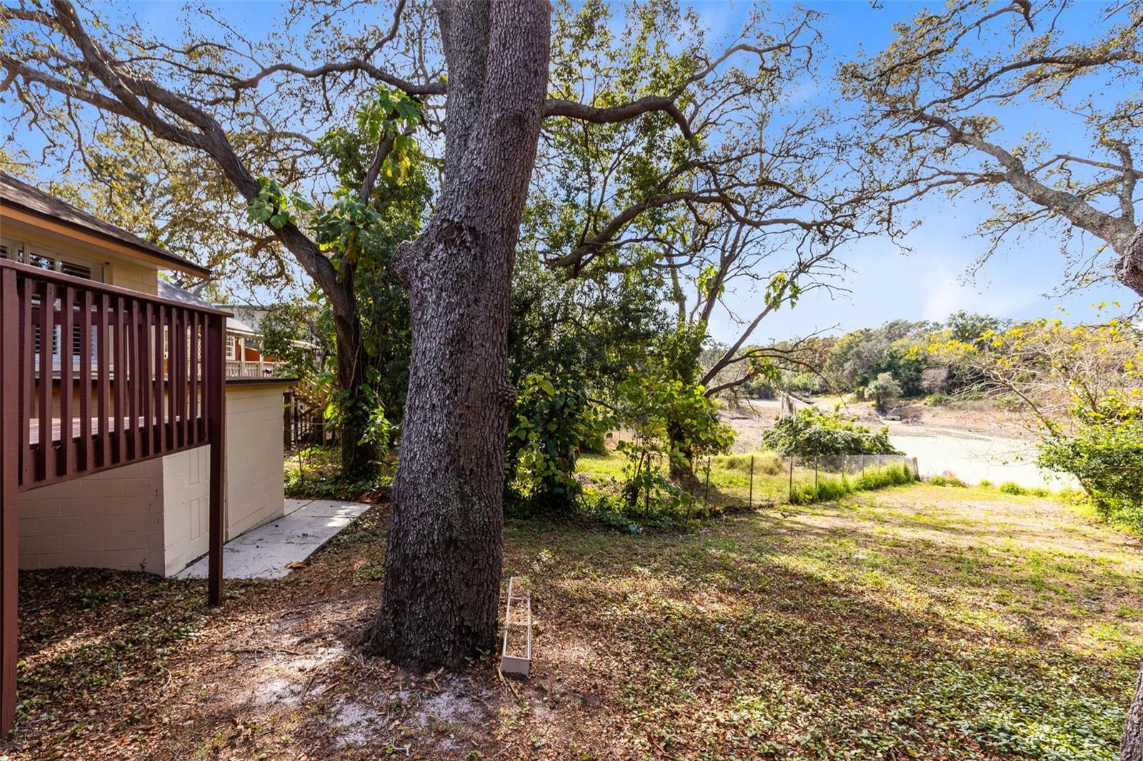 Image 24 of 27 For 1134 Lake Blanche Drive