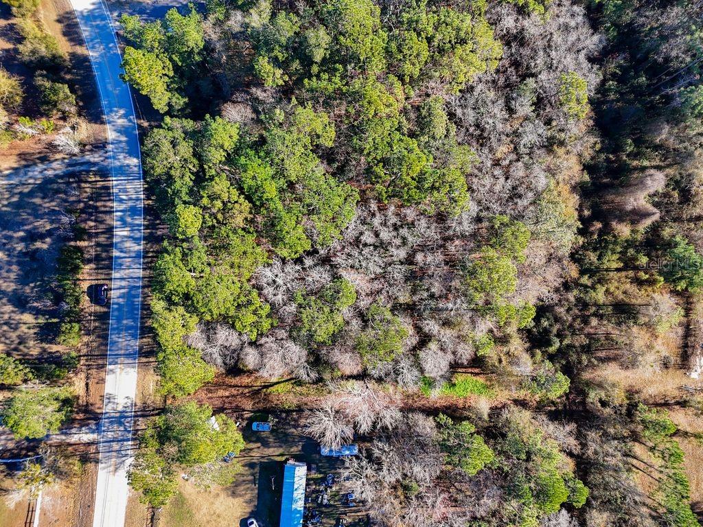 Image 13 of 17 For 2223 Cosmos Avenue