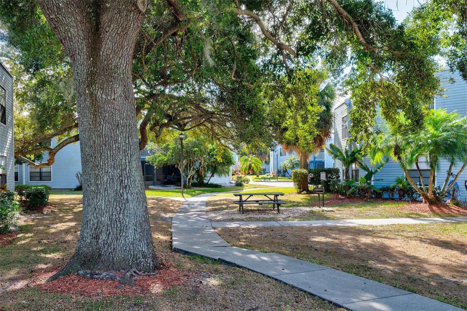Image 19 of 32 For 3623 Atrium Drive