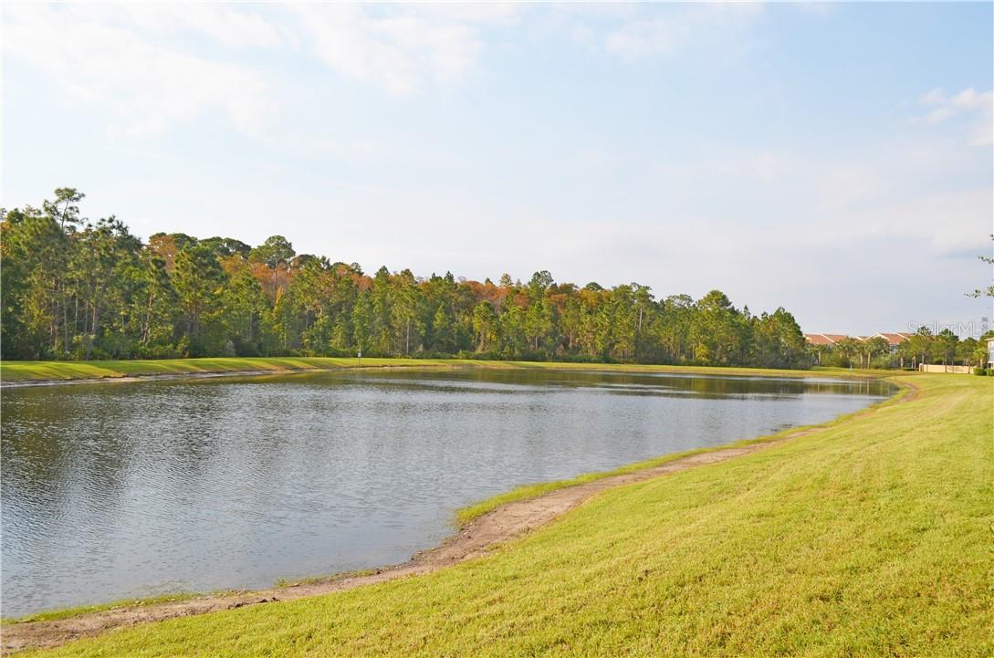 Image 16 of 21 For 3321 Wilshire Way Road 6