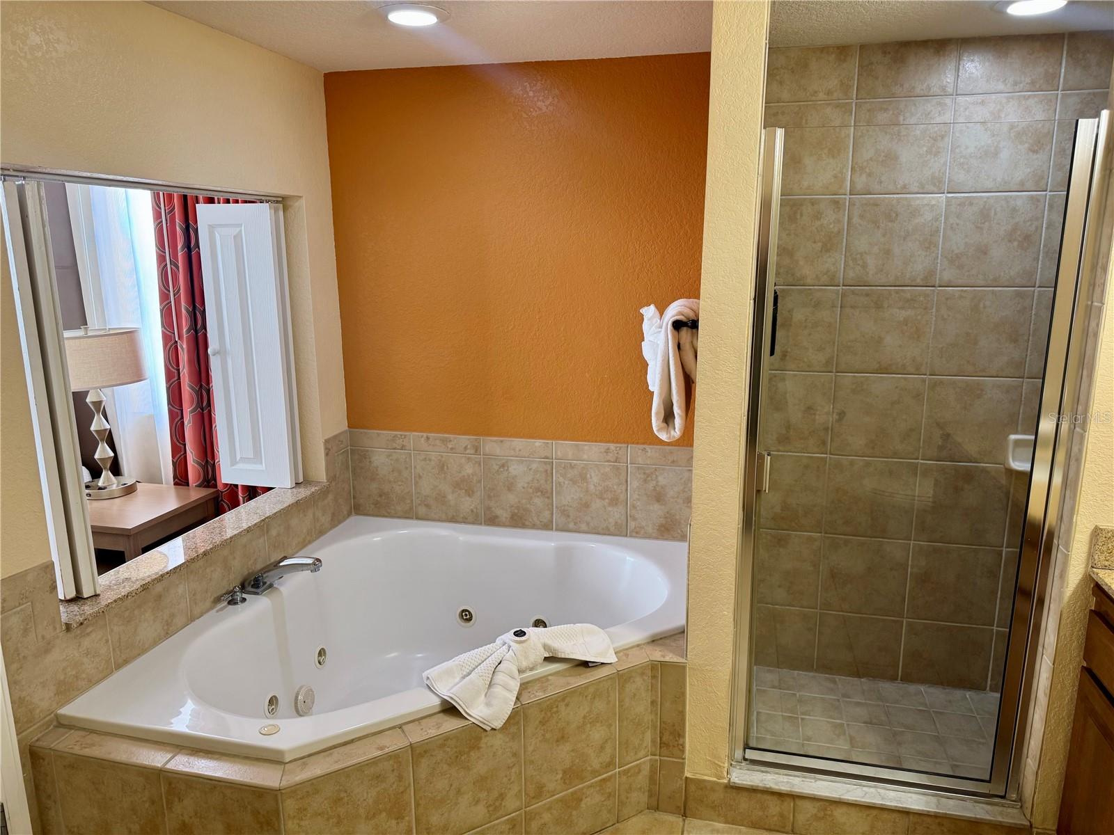 Image 20 of 50 For 12527 Floridays Resort Drive 312e