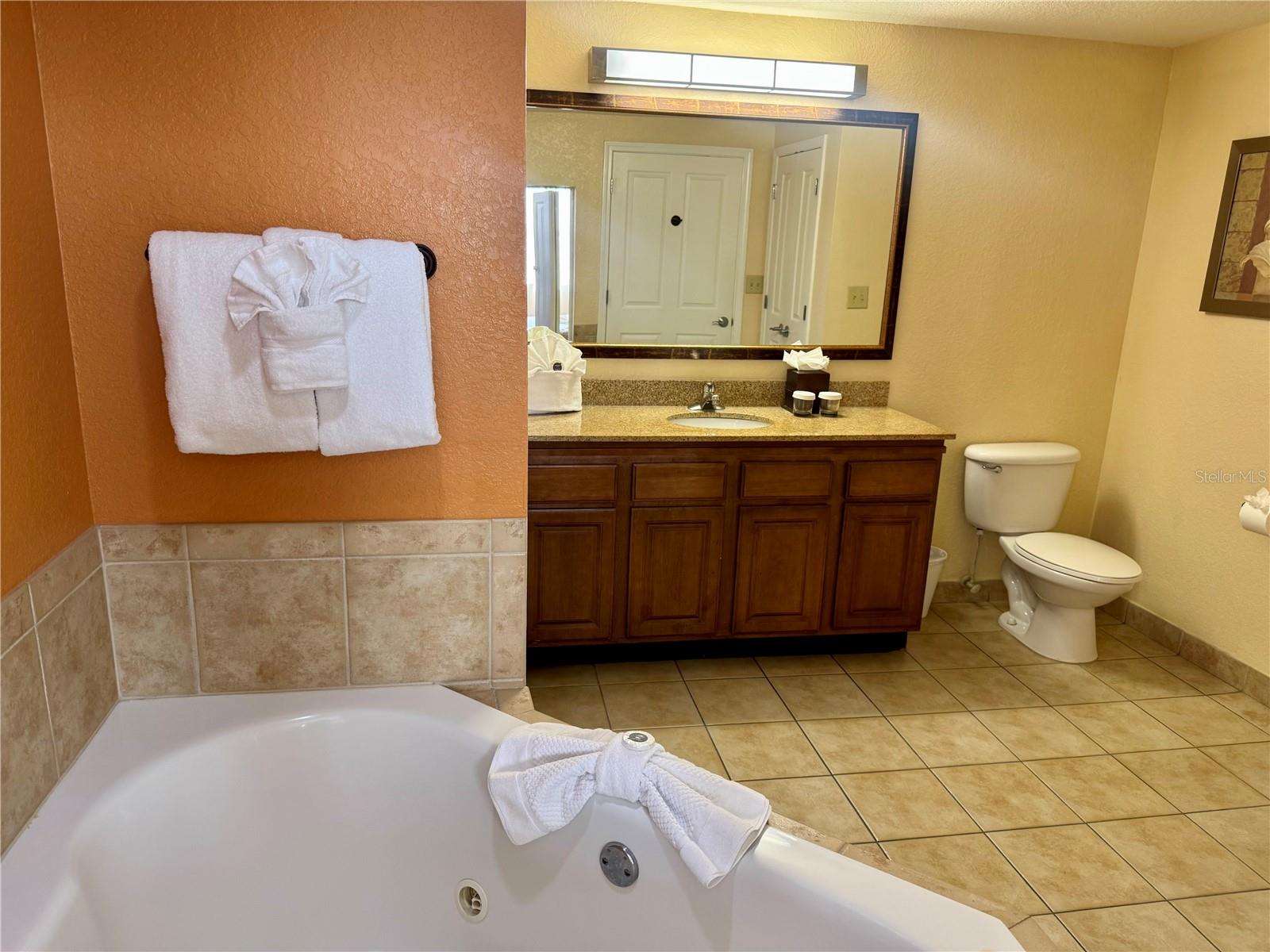 Image 21 of 50 For 12527 Floridays Resort Drive 312e