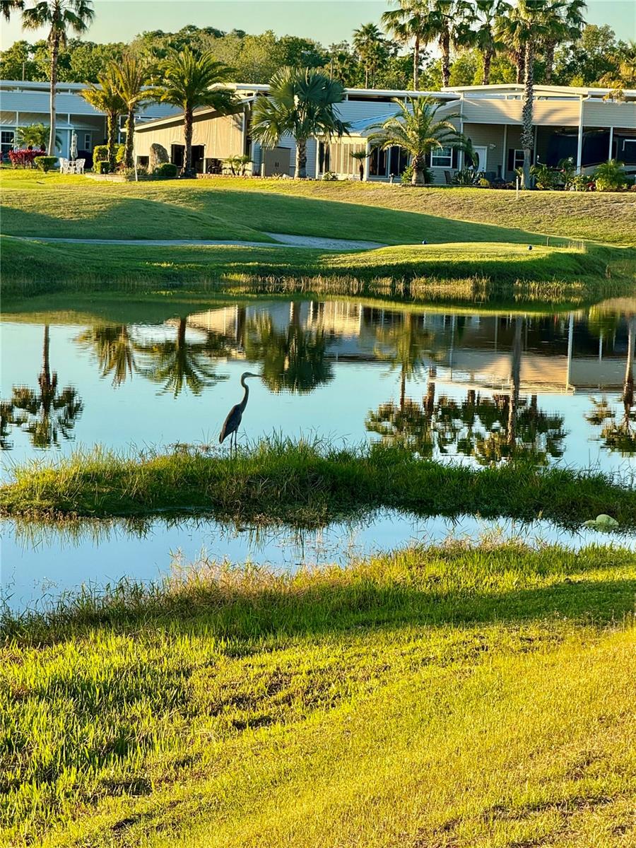 Image 38 of 49 For 2253 St George Drive