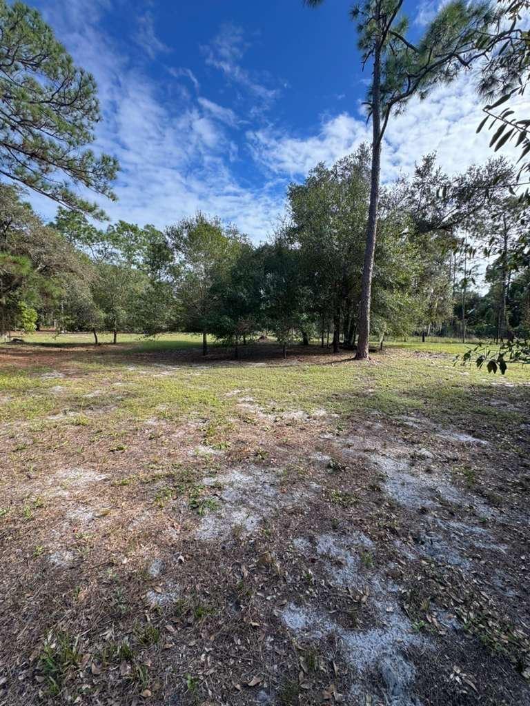 Image 6 of 7 For 415 Verda Street