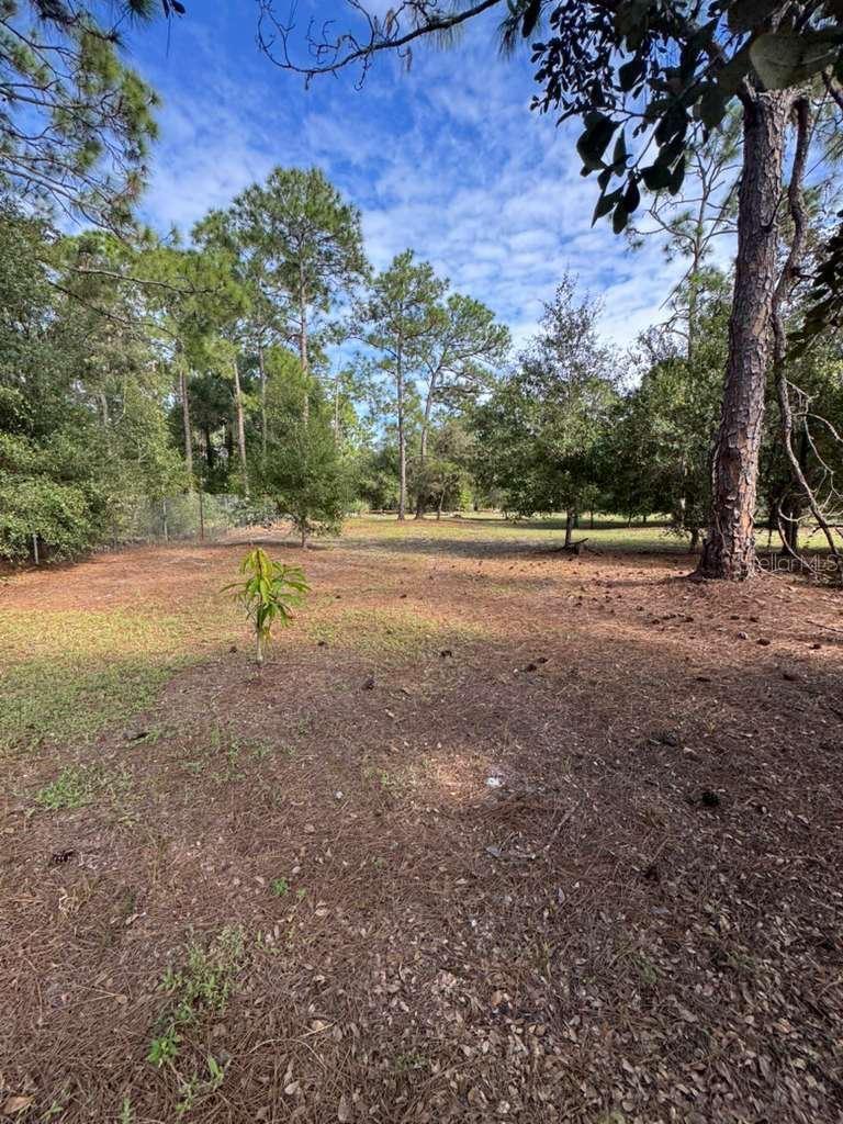 Image 7 of 7 For 415 Verda Street