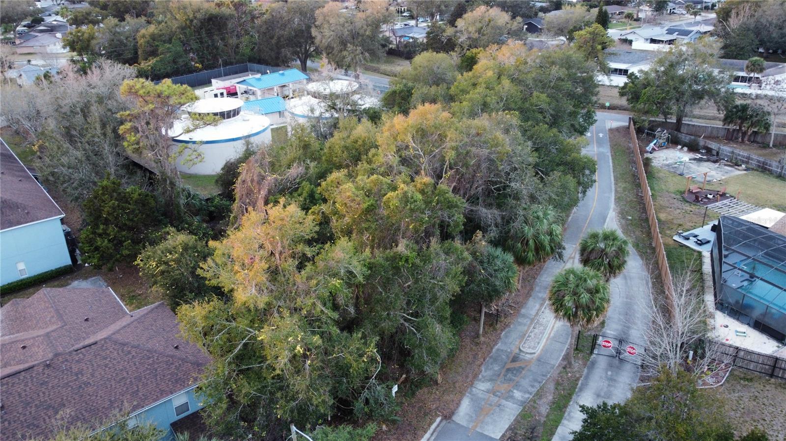 Image 10 of 13 For Wilshire Blvd