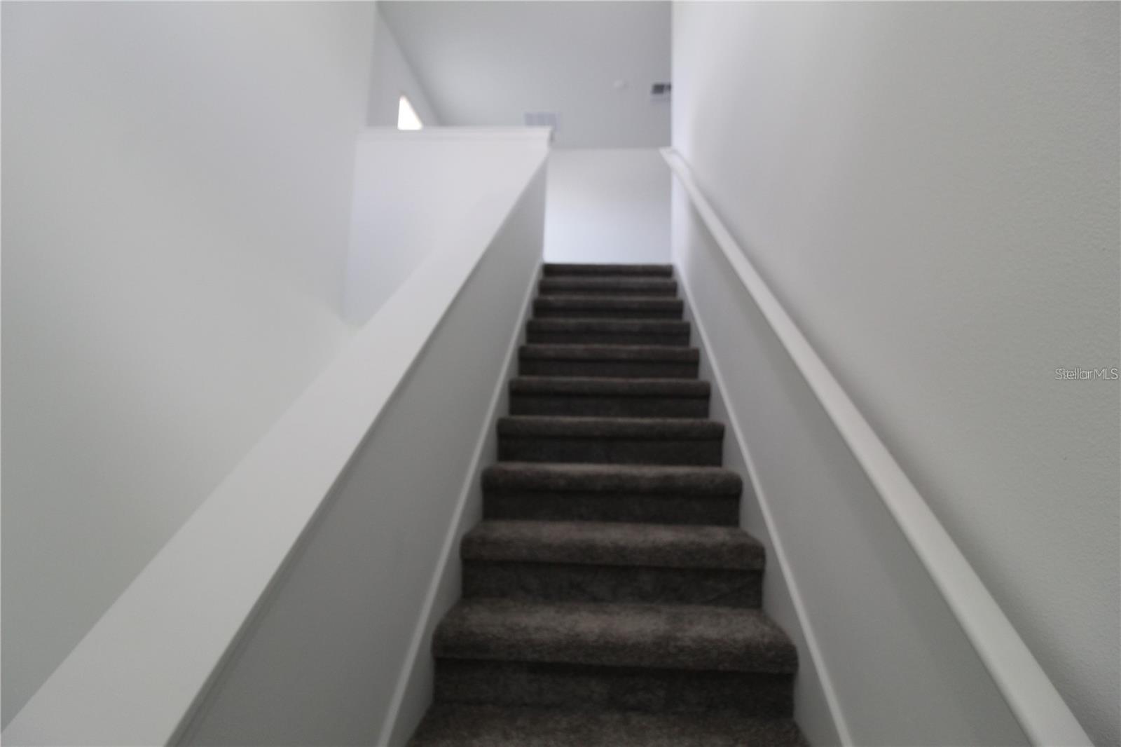 Image 6 of 22 For 263 Hayley Street