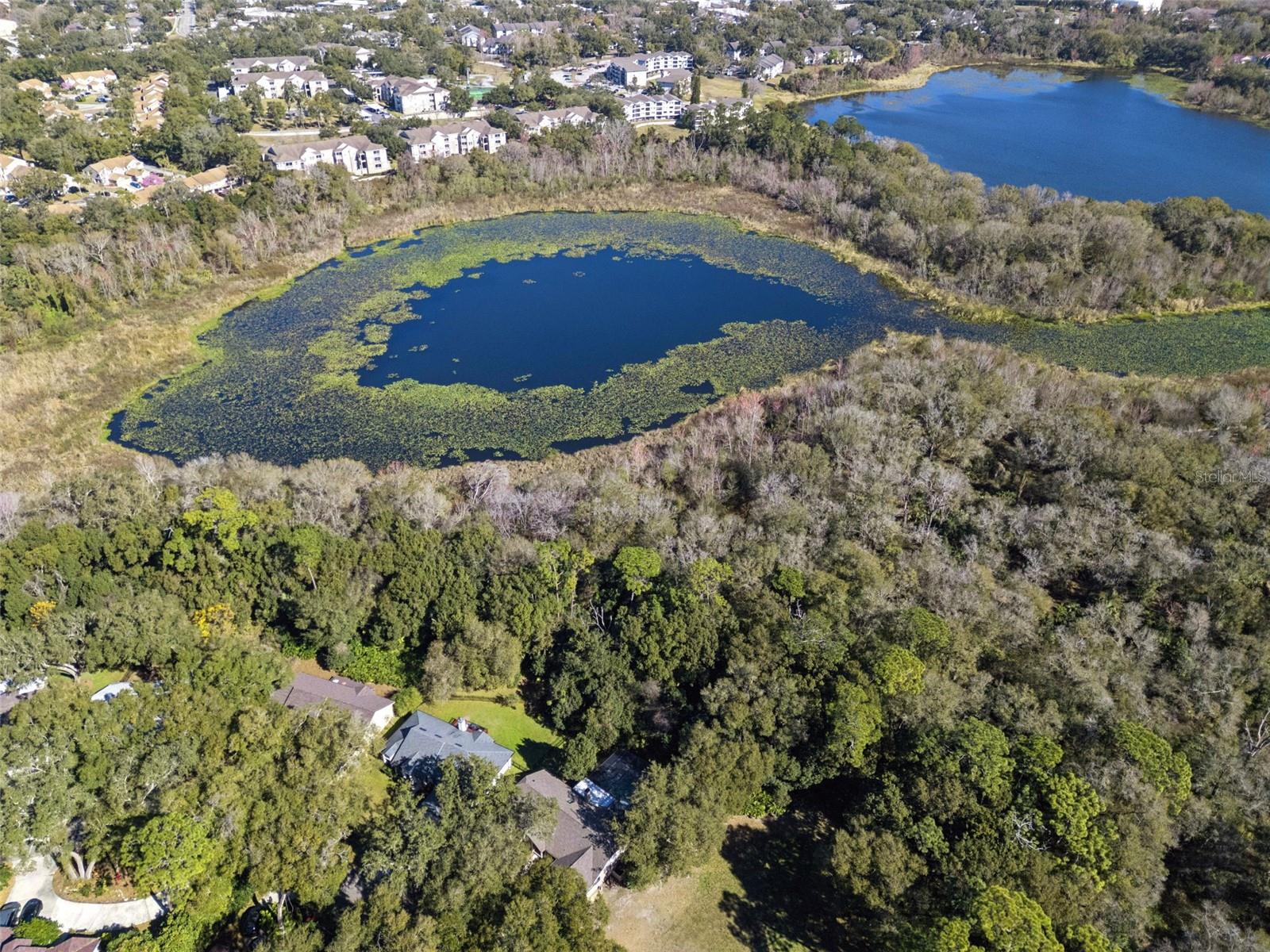 Image 52 of 60 For 1157 Woodland Terrace Trail