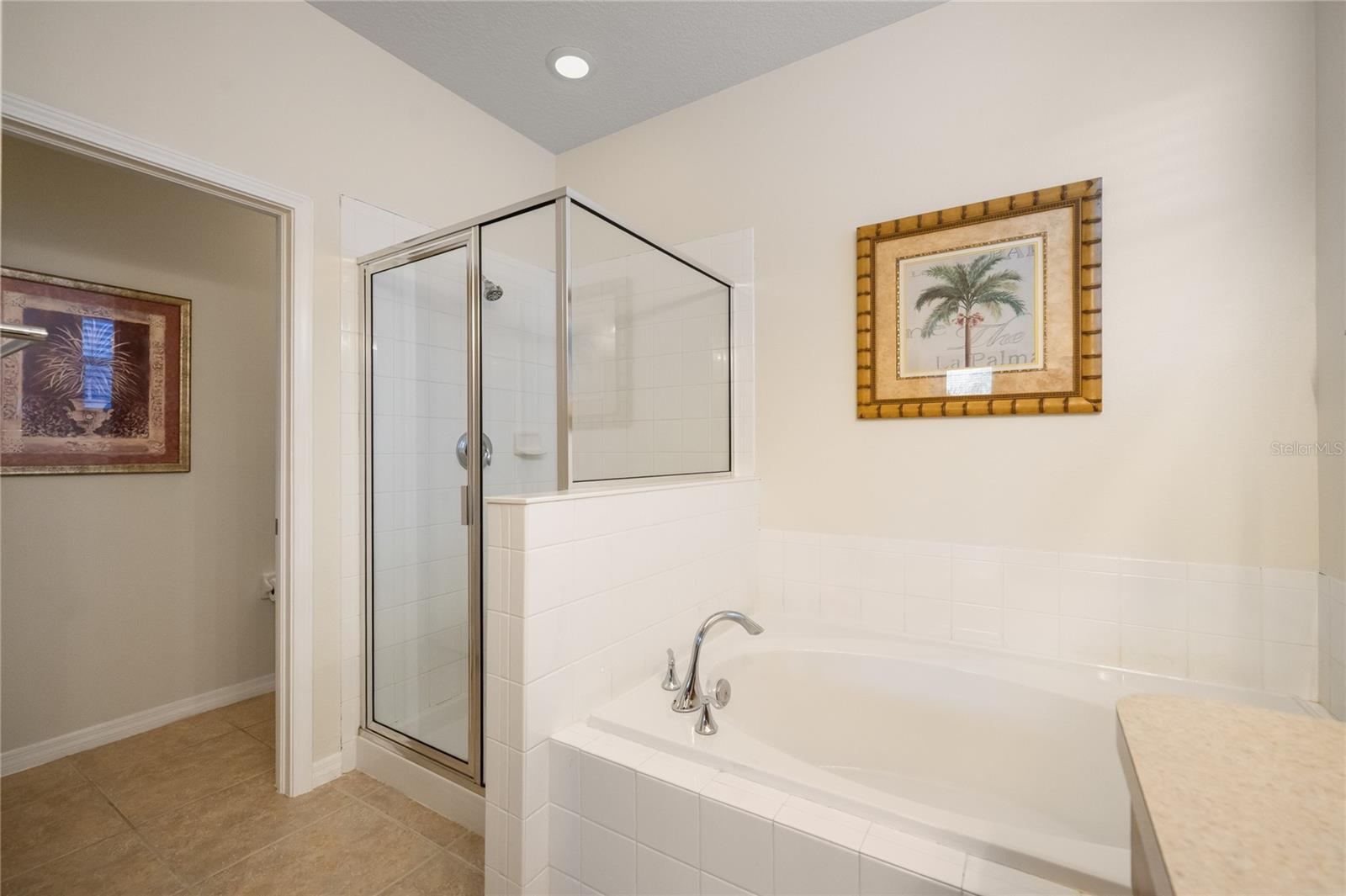 Image 13 of 23 For 337 Bella Rosa Circle