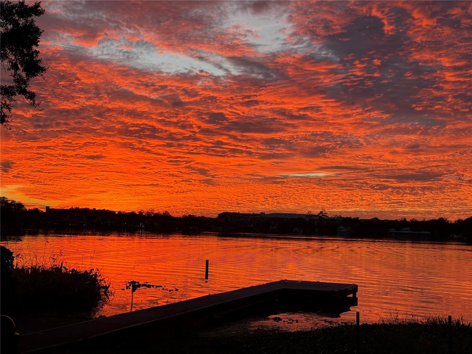 Image 3 of 65 For 570 Dommerich Drive