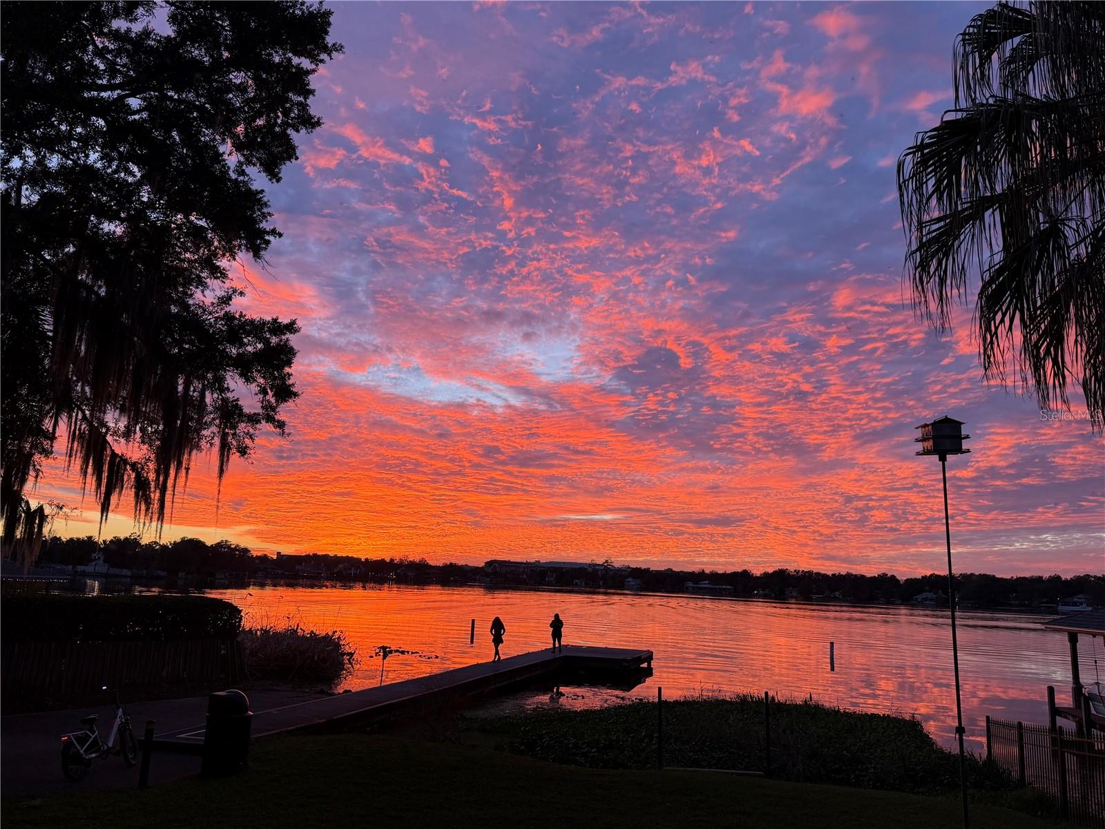 Image 44 of 65 For 570 Dommerich Drive