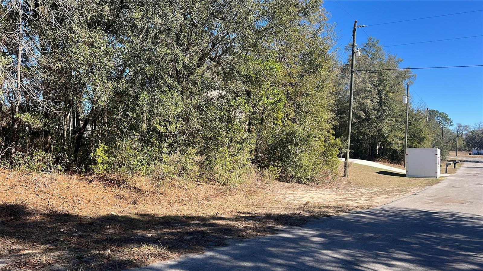 Details for 2559 Castle Road, CITRUS SPRINGS, FL 34434