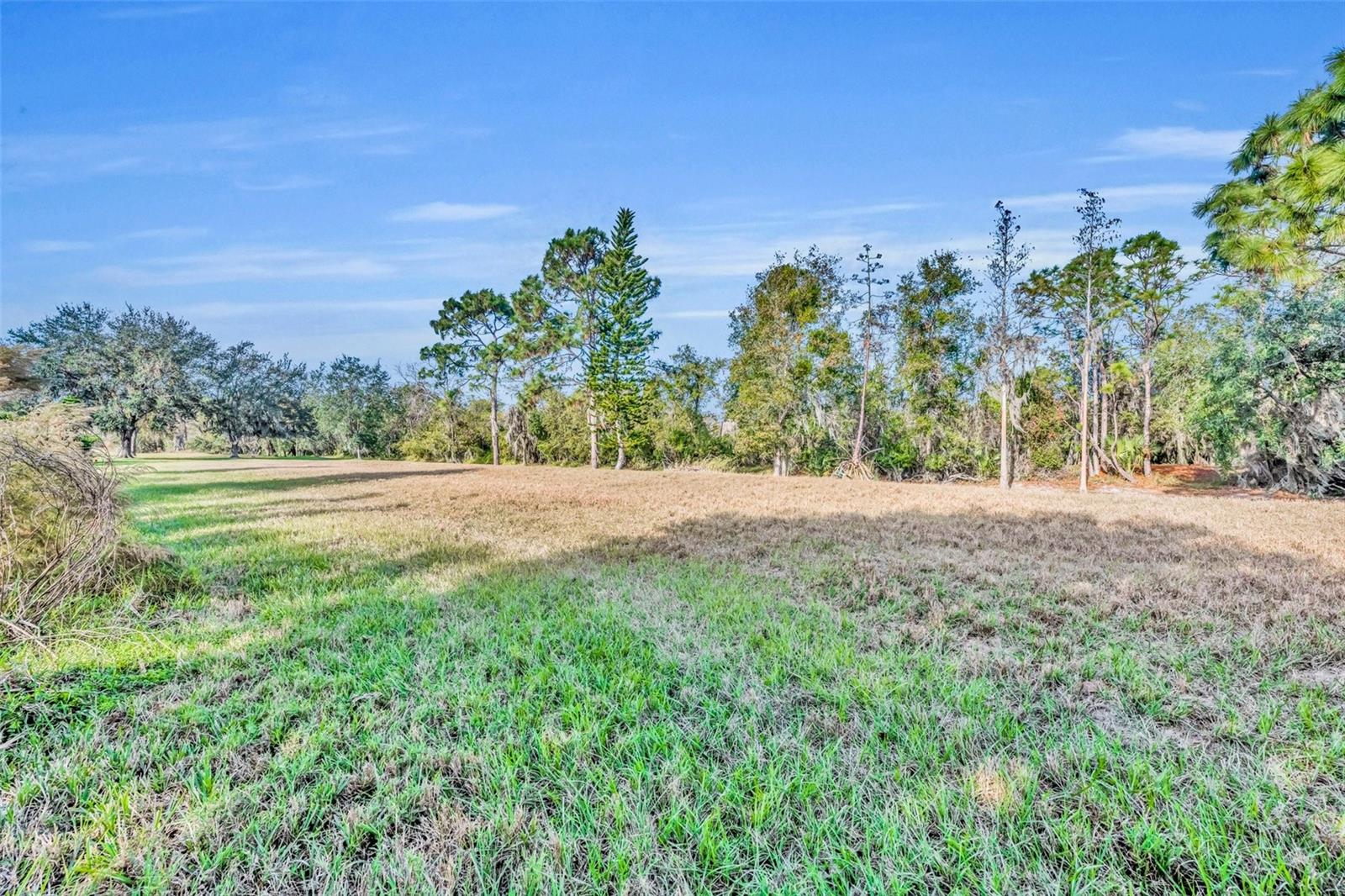 Image 46 of 55 For 3136 Crystal Creek Boulevard