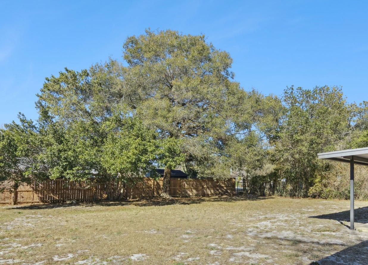 Image 14 of 15 For 725 Third Street