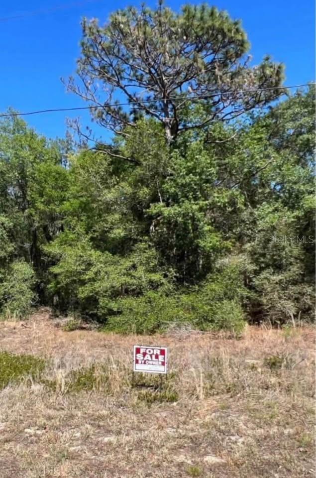 Image 4 of 5 For 12405 Goldie Point