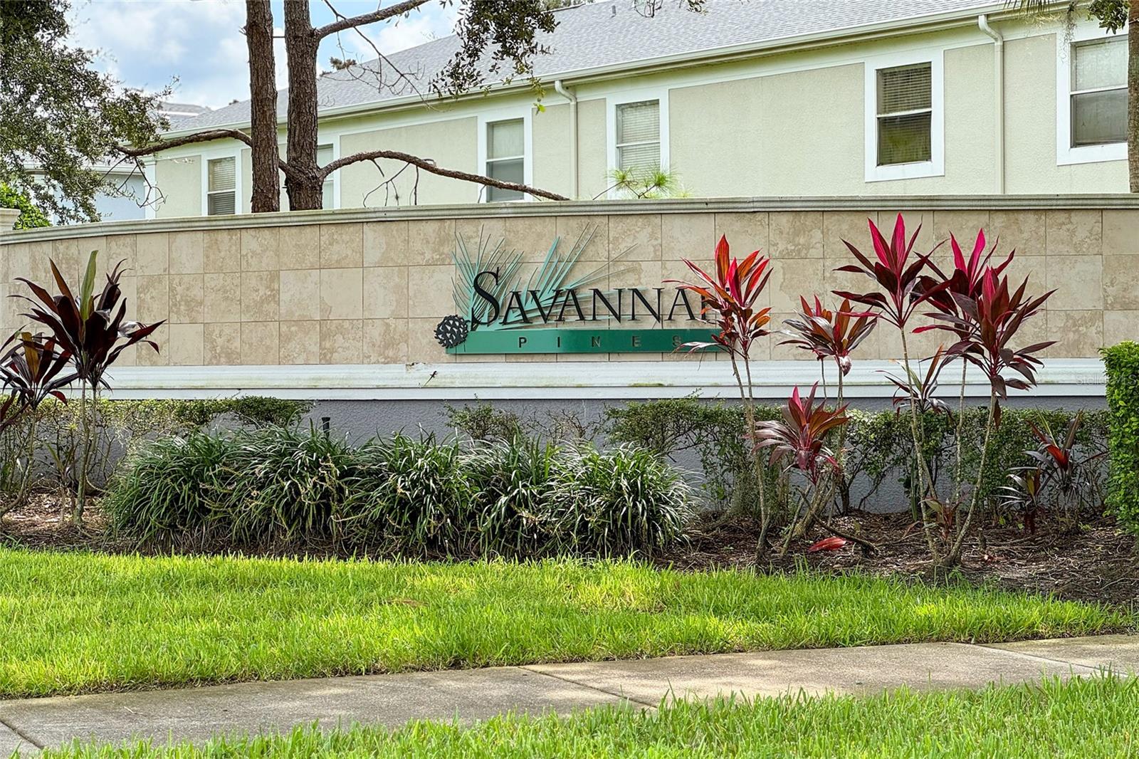 Image 31 of 31 For 9313 Jasmine Flower Lane 185