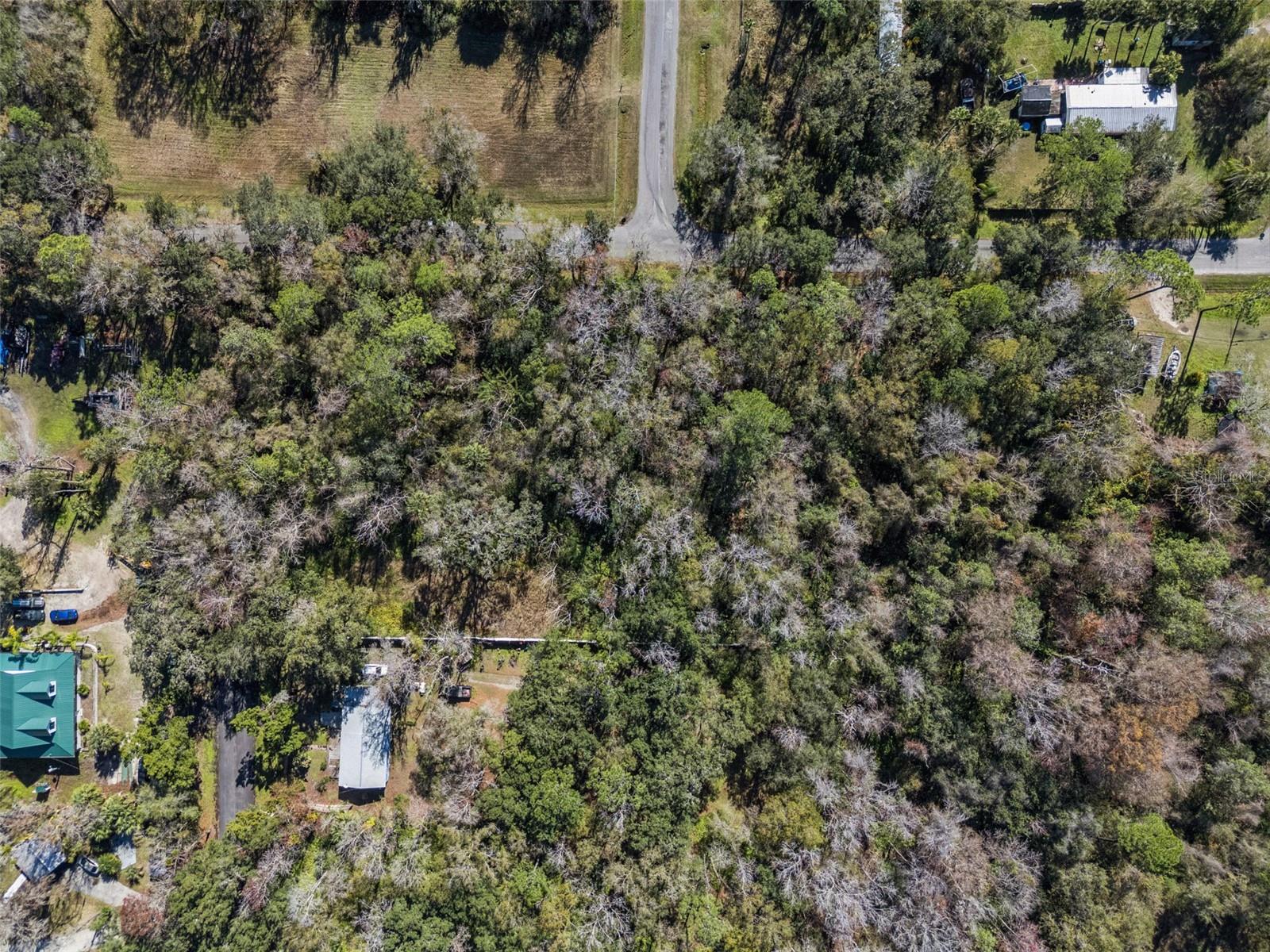 Image 10 of 11 For 1002 Buist St