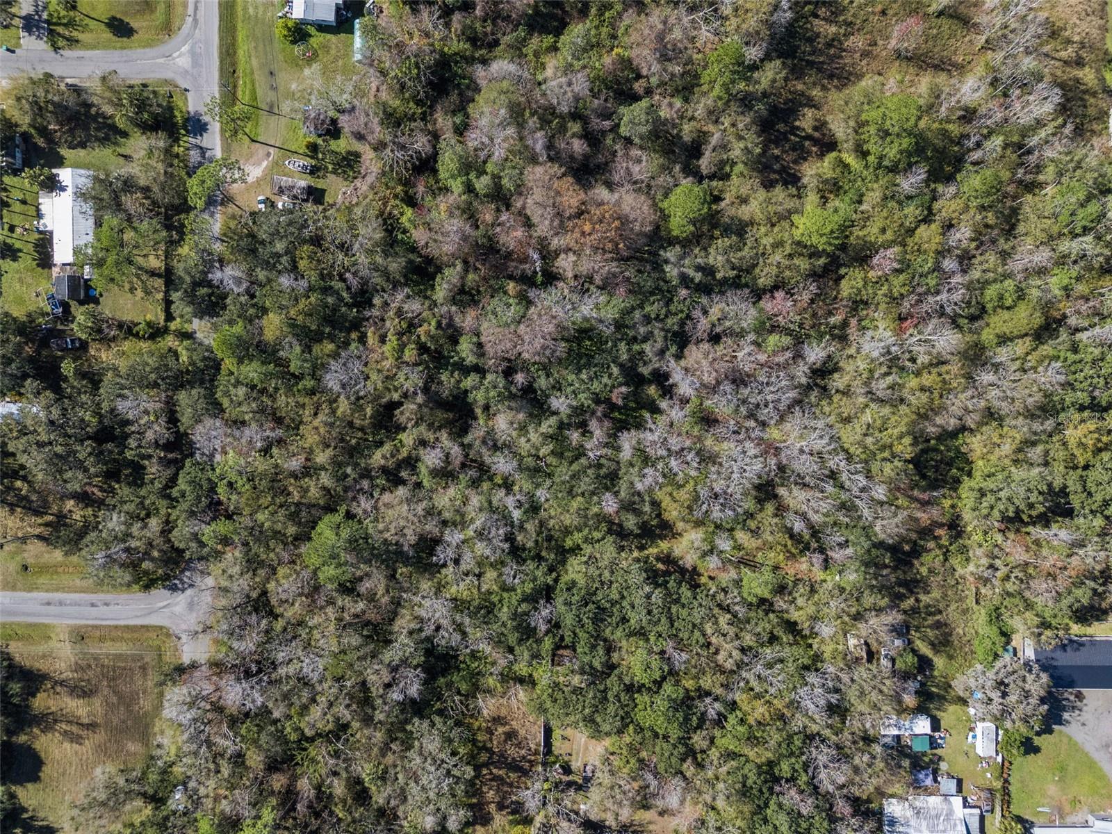 Image 8 of 11 For 1002 Buist St