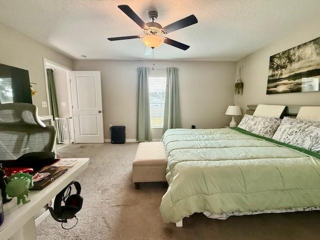 Image 8 of 29 For 1731 Yellow Trail