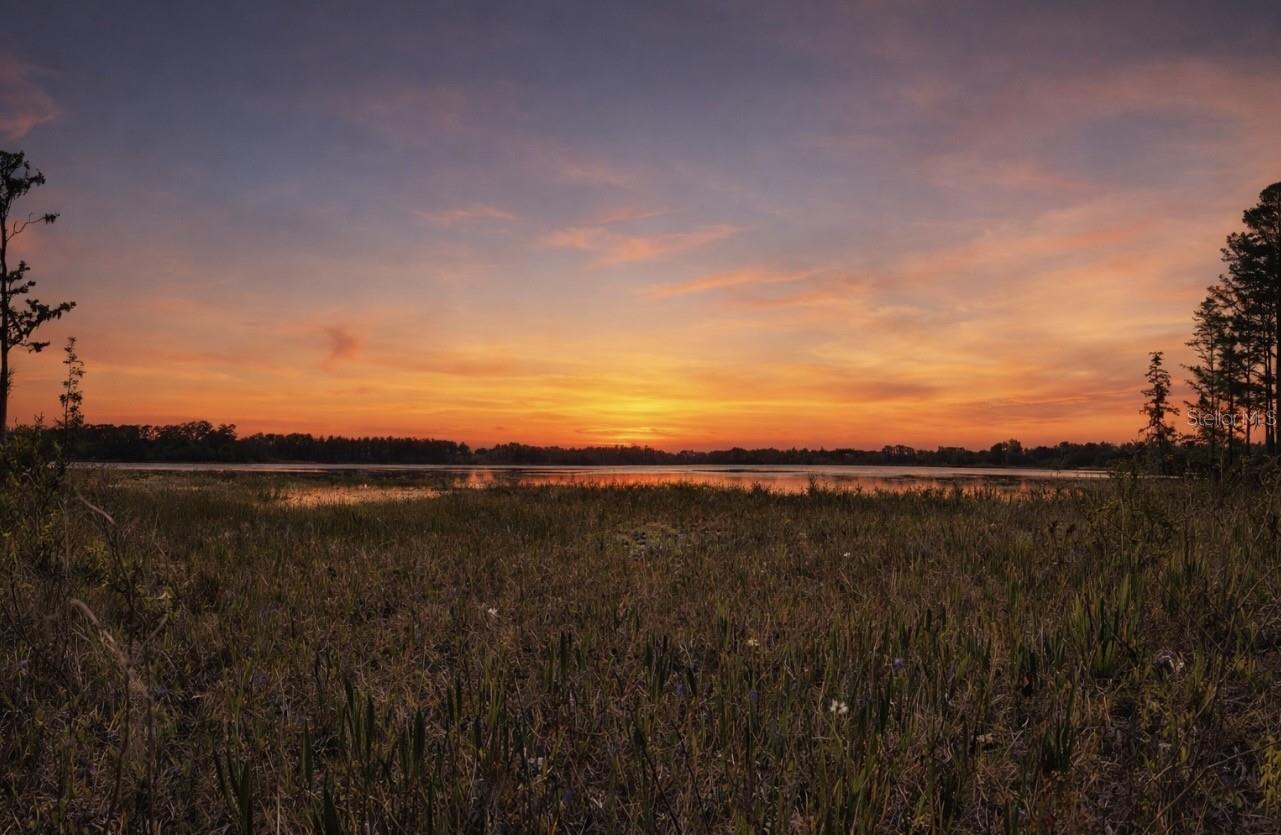 Details for 8335 Florida Boys Ranch Road, GROVELAND, FL 34736