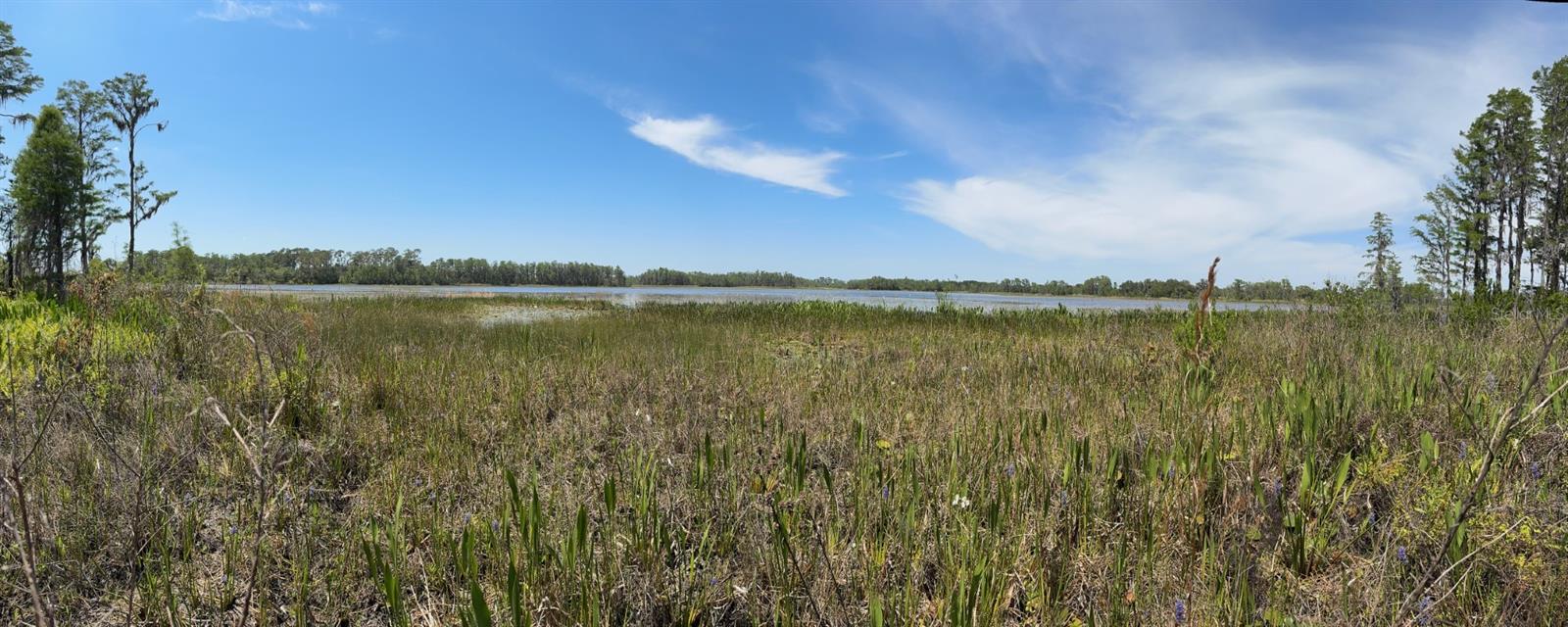 Image 12 of 12 For 8335 Florida Boys Ranch Road