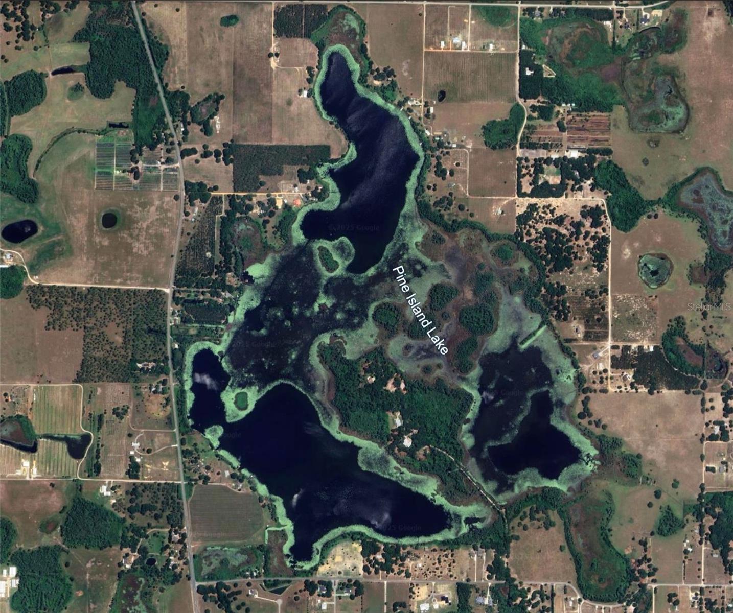 Image 3 of 12 For 8335 Florida Boys Ranch Road