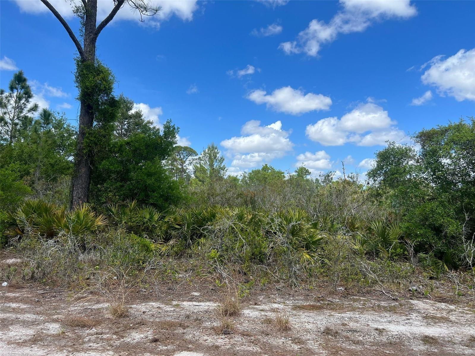 Image 2 of 3 For 331 Tanager Avenue