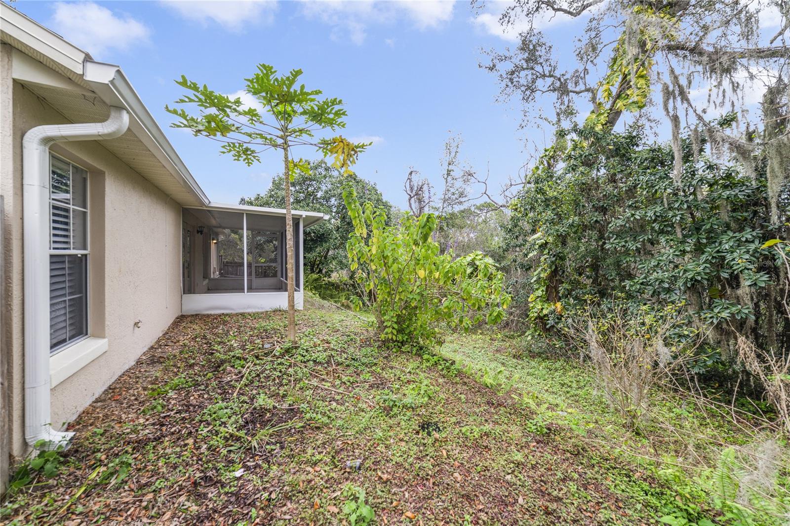 Image 24 of 25 For 210 Meadow Green Drive