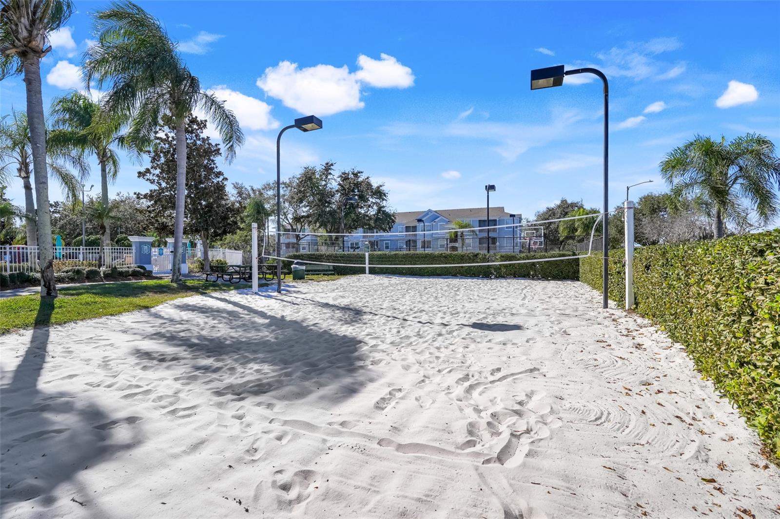 Image 45 of 59 For 8202 Fan Palm Way