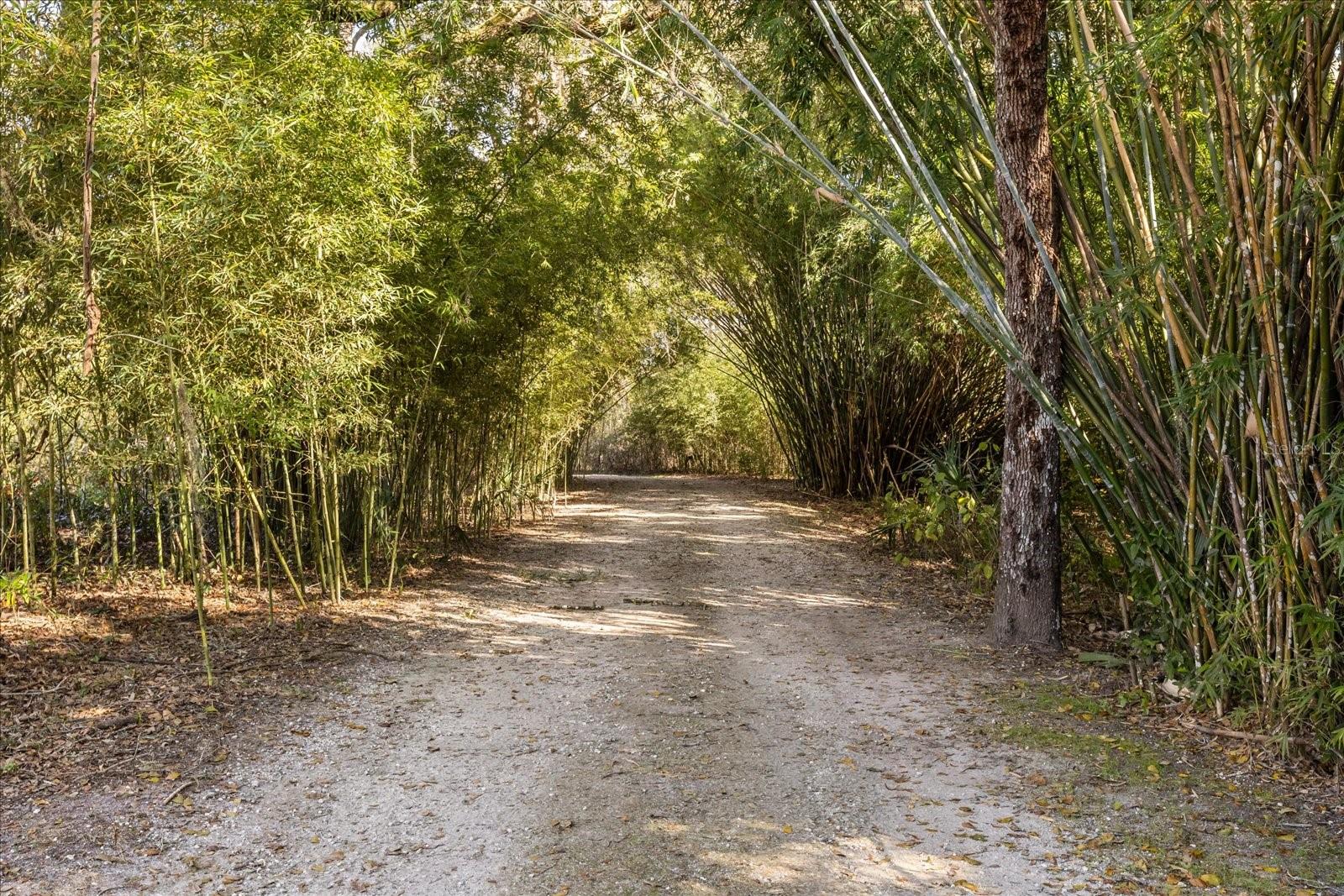 Listing photo id 48 for 1423 Lagoon Point