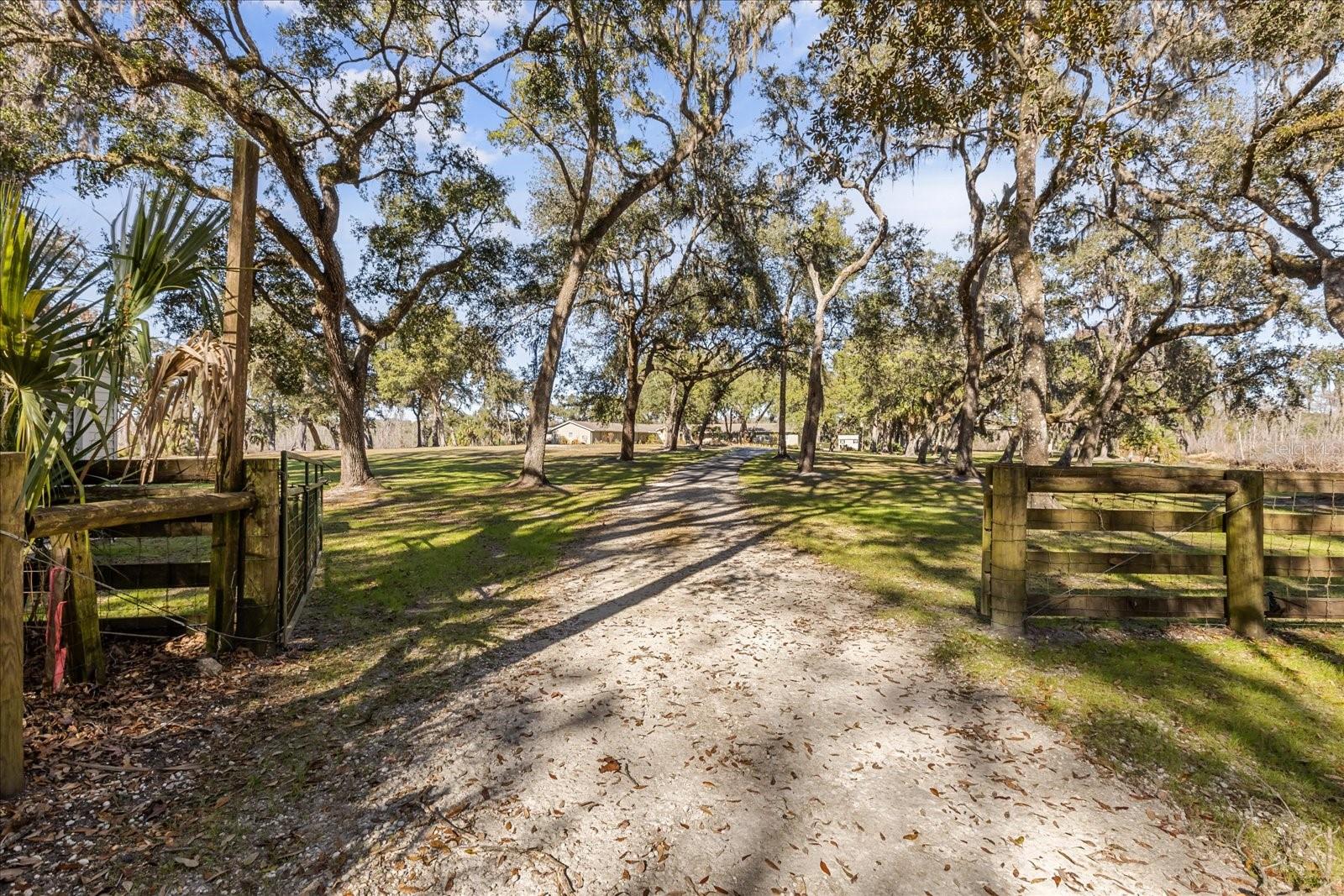 Listing photo id 49 for 1423 Lagoon Point