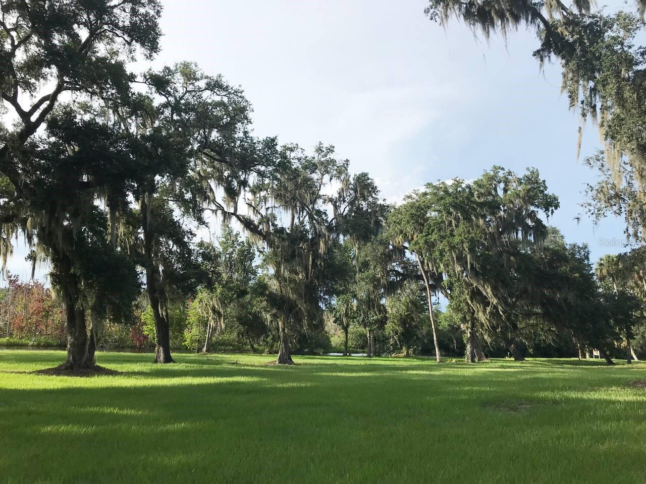 Listing photo id 68 for 1423 Lagoon Point